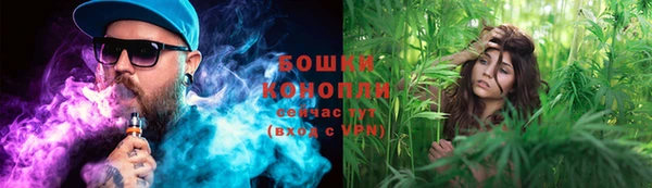 кокс Гусев