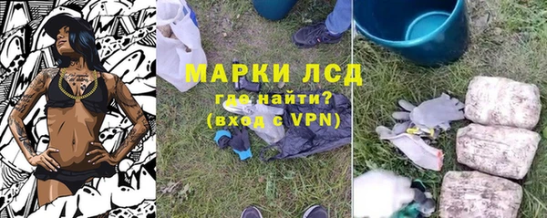 кокс Гусев
