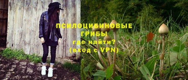 кокс Туринск