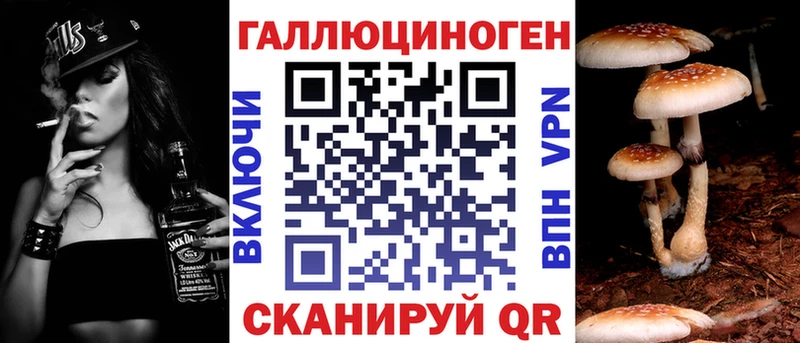 MEGA как войти Новоржев даркнет какой сайт Псилоцибиновые грибы ЛСД
